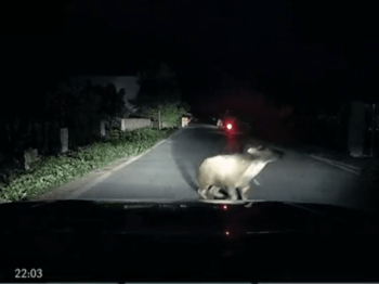 Có phải trường hợp nào cũng cần hồ sơ công an?